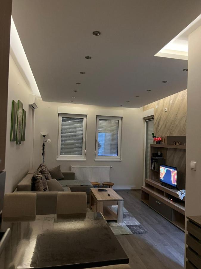 Apartment Dana Banja Koviljača Eksteriør bilde