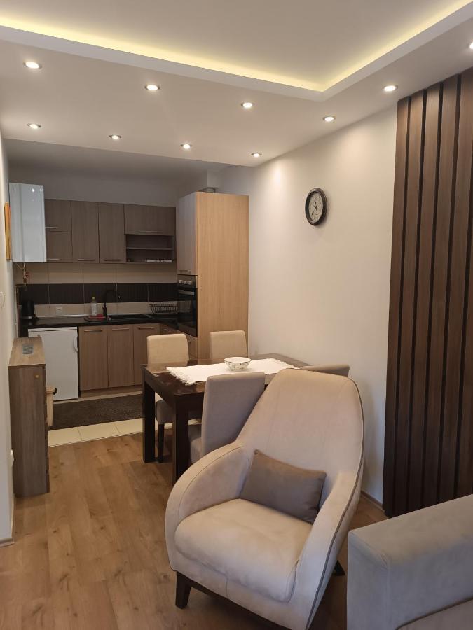 Apartment Dana Banja Koviljača Eksteriør bilde